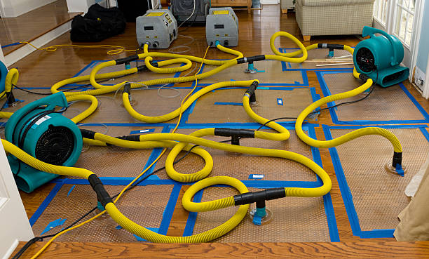 Professional Crawl Space Water Removal technician working in Hastings, NE